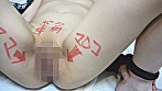 サンプル画像