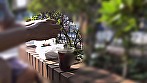 投稿個人撮影 キモ男ヲタ復讐動画 マイゾノチハル編＆チハルアフター編 サンプル画像2