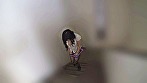 投稿個人撮影 キモ男ヲタ復讐動画 ハナオカラン編＆ミツゾノユカリ編 サンプル画像15