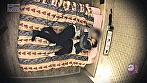 投稿個人撮影 キモ男ヲタ復讐動画 イチカワヒマリ編 サンプル画像8