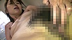 ツバキ サンプル画像3