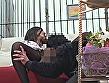 実録！絵画キャッチセールス裏交渉 CATCH 2 - Image 2