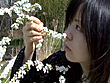 DOL-CHU 吉永絵里 画像2