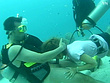 AQUA SEX 南の島で水中FUCK！ 画像3