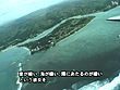 うわさのビキニギャルinフィジー - Image 3