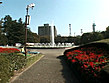 カンパニー松尾スペシャル 2001年テレクラの旅 PART.2 富山・大阪・神戸・高知 愁走2001キロ！ サンプル画像11