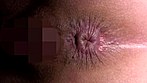 清楚な19歳女子大生の美しすぎる肛門と脱糞を下から仰ぎ見る サンプル画像5