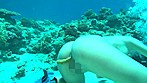 あなたのお家に高沢沙耶（引退）がやってくる 全国うんこ紀行 49