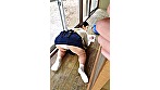 背徳の親子糞 お母さんのうんことおしっことお尻の穴の臭いは僕のもの 三峰かずこ サンプル画像21