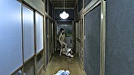 拷問介護 糞喰えヘルパー 綾瀬もも乃 画像8