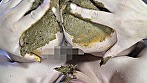 背徳の親子糞 母さんの臭いお尻の穴を嗅ぐ初めての男（ひと） 小杉みちよ 画像17