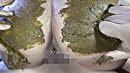 背徳の親子糞 母さんの臭いお尻の穴を嗅ぐ初めての男（ひと） 小杉みちよ 画像18
