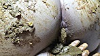 強制肛門こじ開け寝糞 麻美 画像15