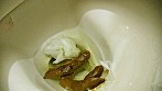 ～私生活うんこ自画撮り～ 産まれた時からアブノーマル 衣織の日常動画 サンプル画像3