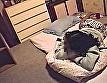 投稿特許許可局 VOL.2 - Image 2