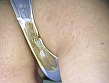 ウンコブリブリDX てんこ盛りスペシャル 画像2