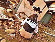 肛外暴力 液固体スペシャル （編集作品） 画像18