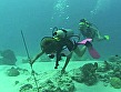 海H AQUA SEX SPECIAL - Image 4