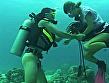 海H AQUA SEX SPECIAL - Image 6