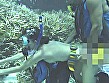 海H AQUA SEX SPECIAL - Image 13