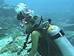 海H AQUA SEX SPECIAL - Image 20