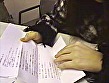 素人参加募集ビデオ 水野さやかとしてみませんか？ - Image 2