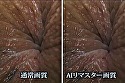 【AIリマスター】おしりの穴 おしりの穴編 画像1