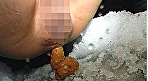 全国うんこ紀行 総集編 5時間DX 画像5