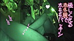 サンプル画像