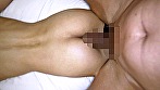 サンプル画像