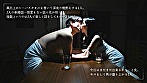 SEXが終わった後の最高に満たされる15分の“後戯”で心からオーガズムを感じたい 藤咲紫