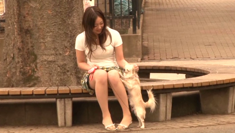 完全主観 近所で見かける子犬連れの綺麗なお姉さん 画像3