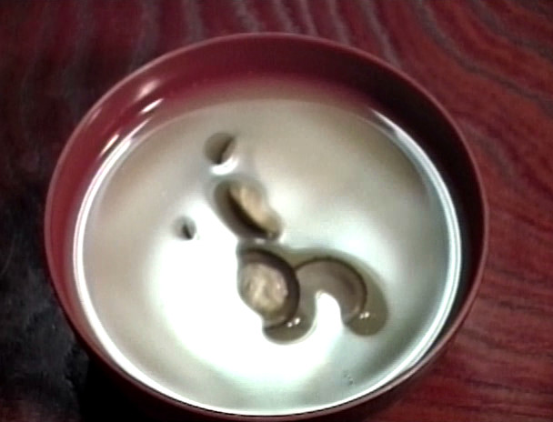 前略おふくろの味 前菜下町旅情編 画像2
