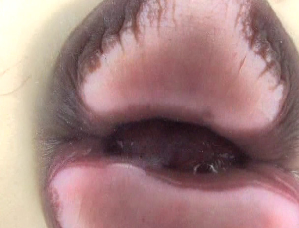 ベロチュウ 5 画像9