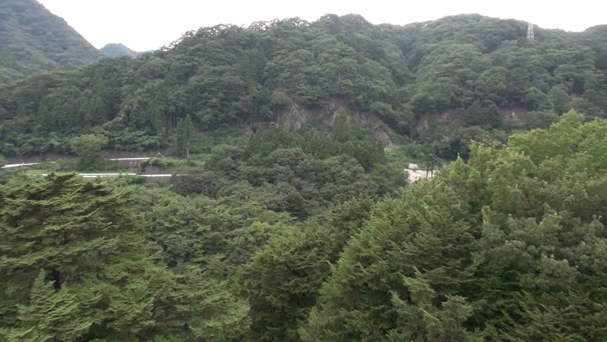 人妻恥悦旅行 椎名ゆな 画像12