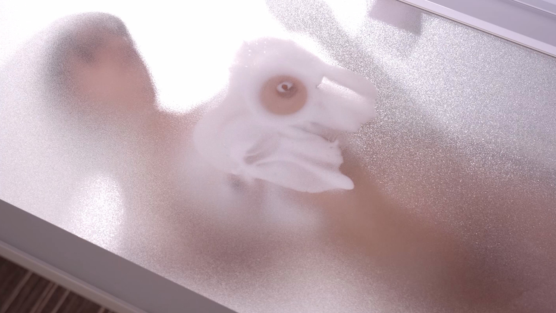 ふらちな人妻~紗々原ゆり~ 画像7