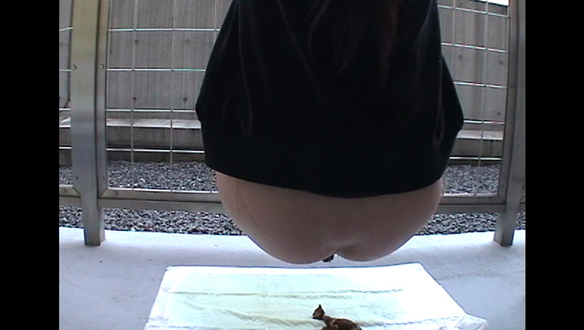 自画撮りうんこ日記 健康優良便BEST集 1 画像19