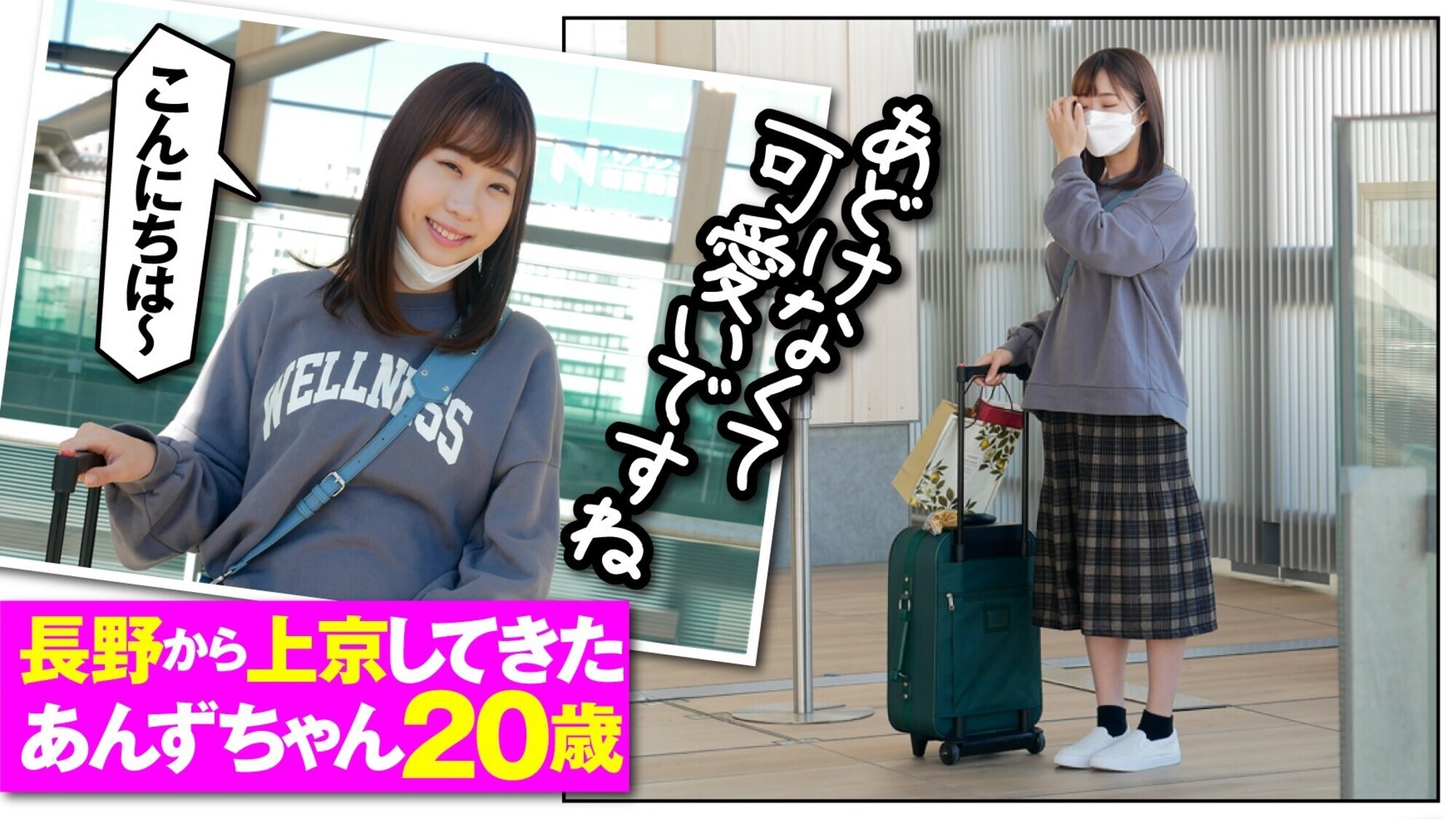 あんずちゃん 画像1