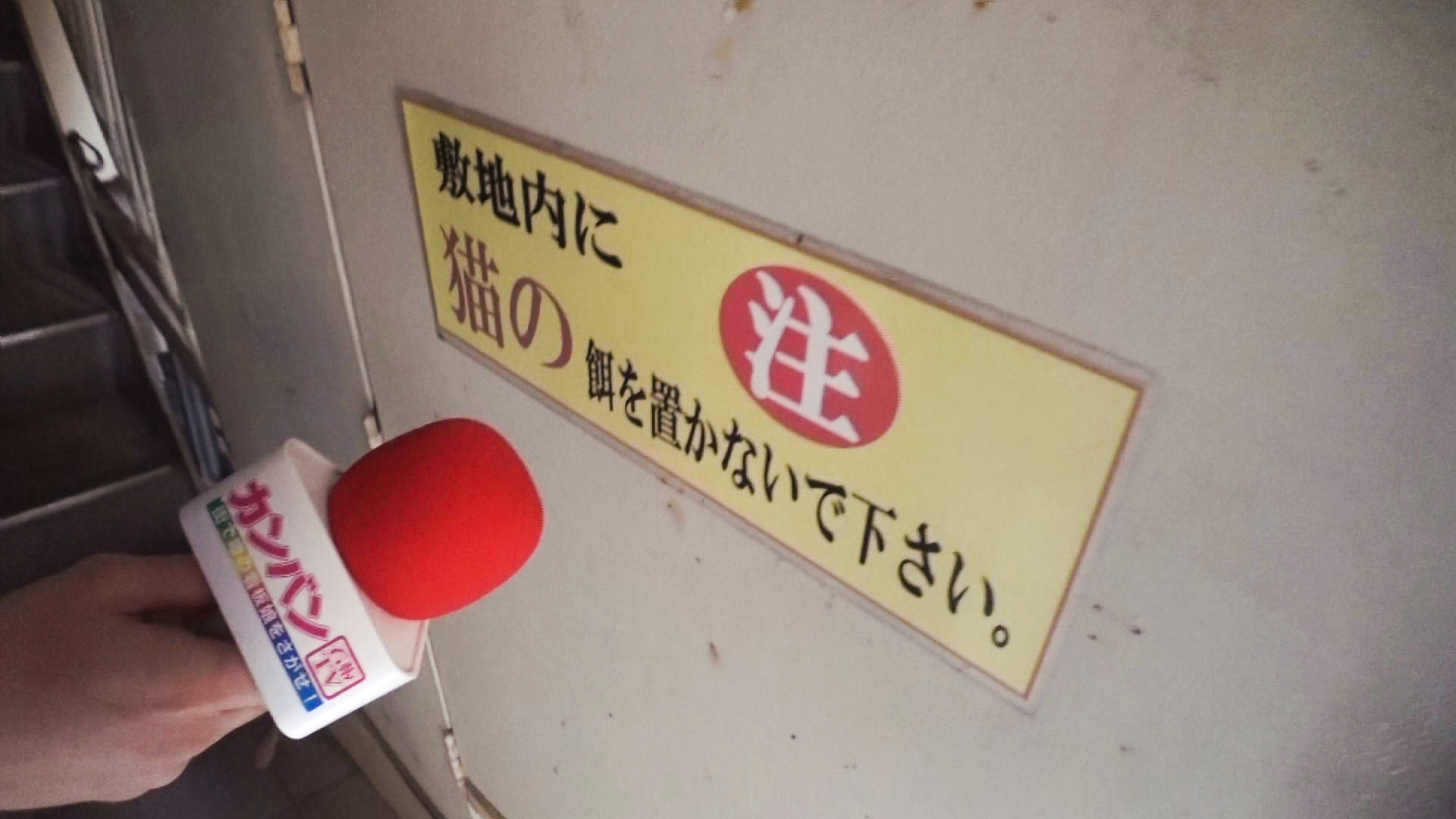 完全ガチ交渉!噂の、素人激カワ看板娘を狙え! vol.36 豊島区 画像12