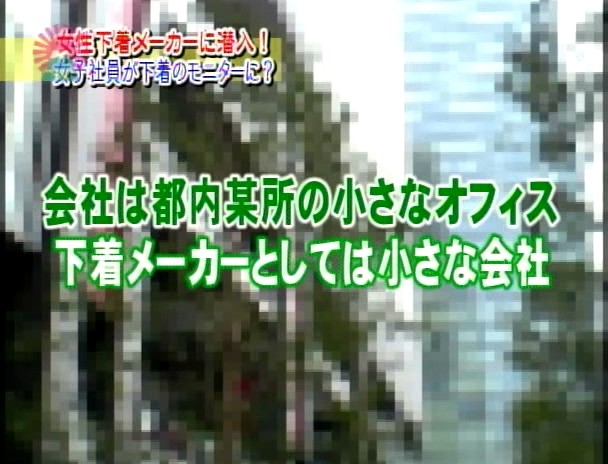 下着メーカー職権濫用の実態!女子社員へのセクハラ潜入盗○ 画像12