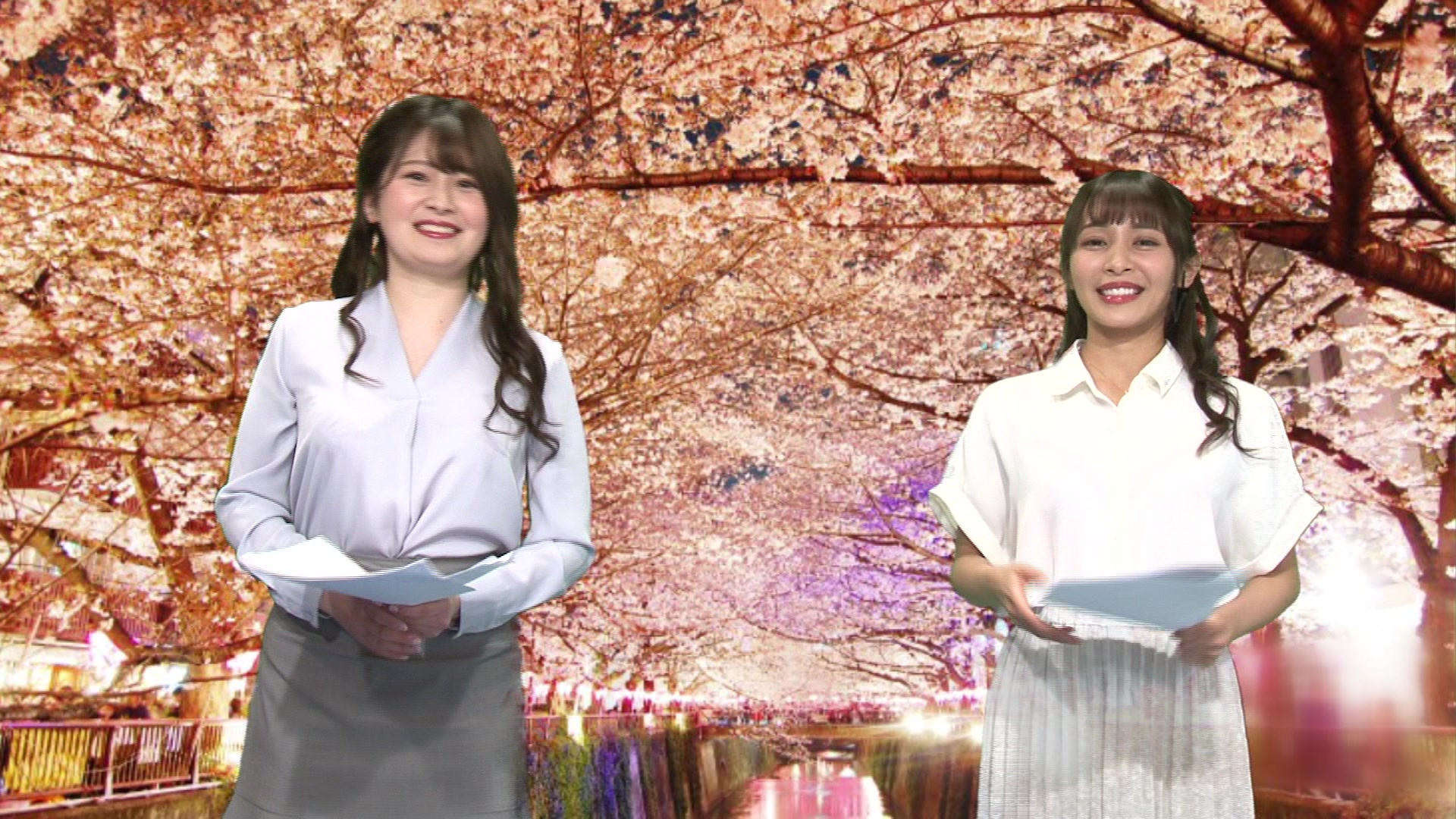 女子アナ桜を見る会!花よりチンコで感じまくりのイキまくり!マ●コも濡れてヒ~クヒクッ! 完全版 画像1