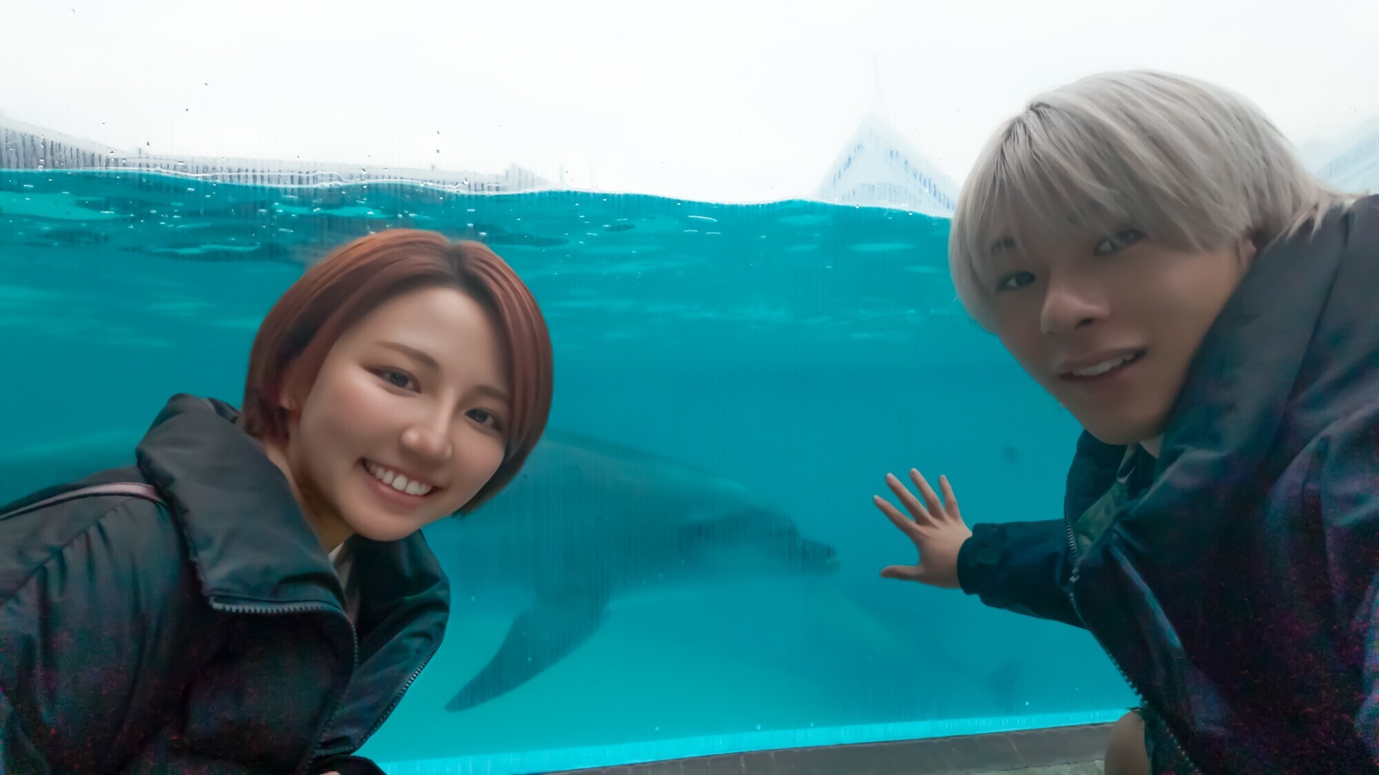 水族館デートしてSEX 画像2