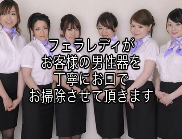 お掃除フェラレディのお仕事 画像1