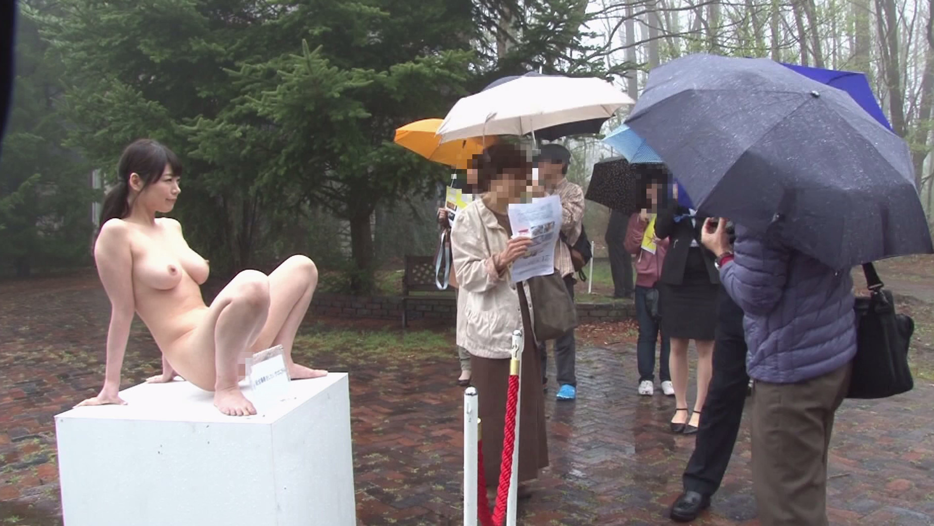 「日本人女性が絶頂を迎える体位」展 性交美術館 イメージ1