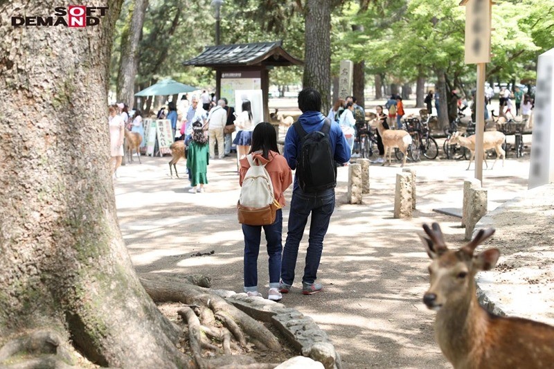 奈良で捕まえた超絶オドオドビクビクデカちち子ちゃん ガチガチ巨根突っ込まれて半べそAVでびゅう。（させました。） 奈良県柏木町在住 「柏木むぅ」ちゃん