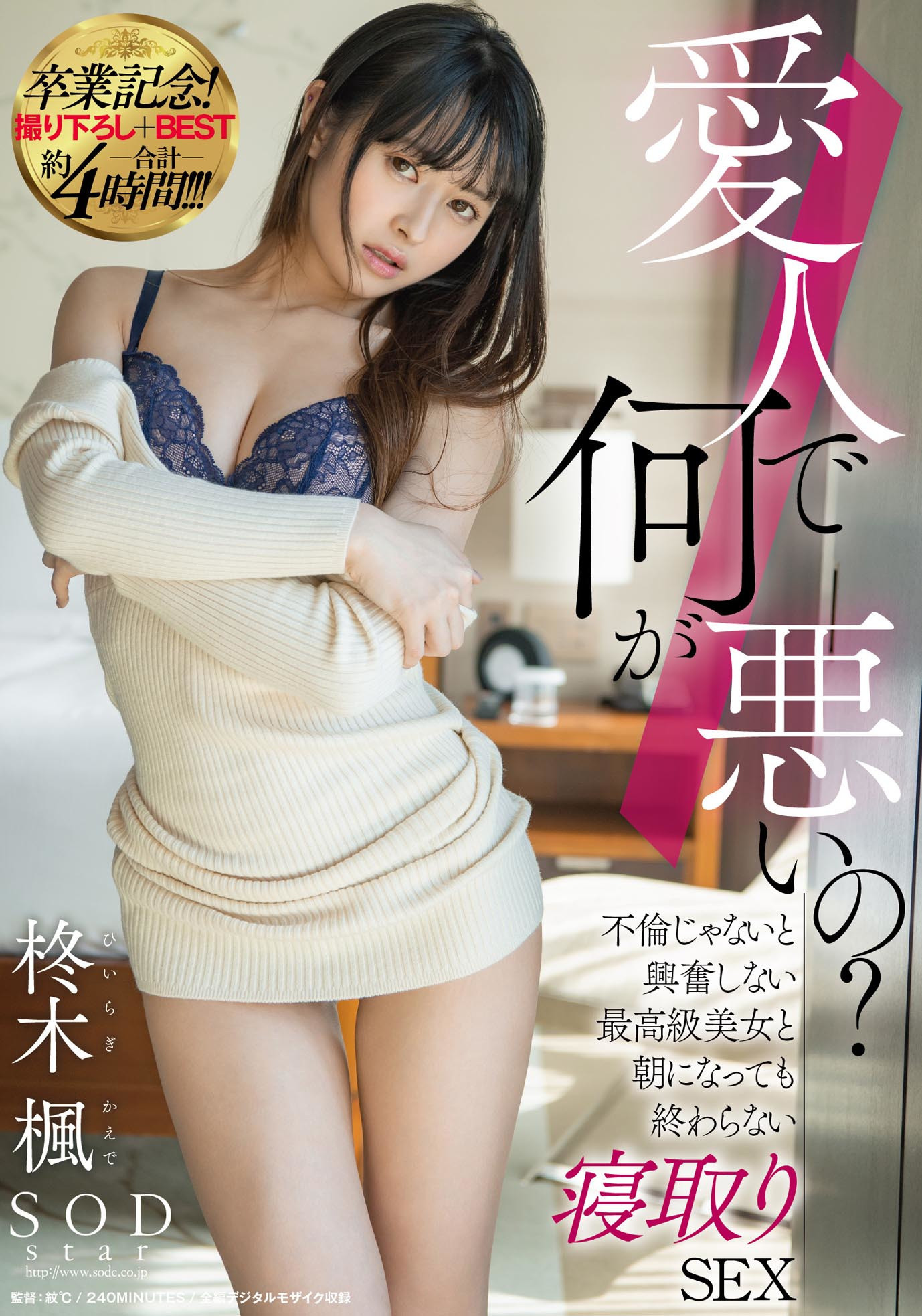 愛人で何が悪いの?不倫じゃないと興奮しない最高級美女と朝になっても終わらない寝取りSEX 卒業記念!撮り下ろし+BEST合計約4時間!!! 柊木楓 画像1