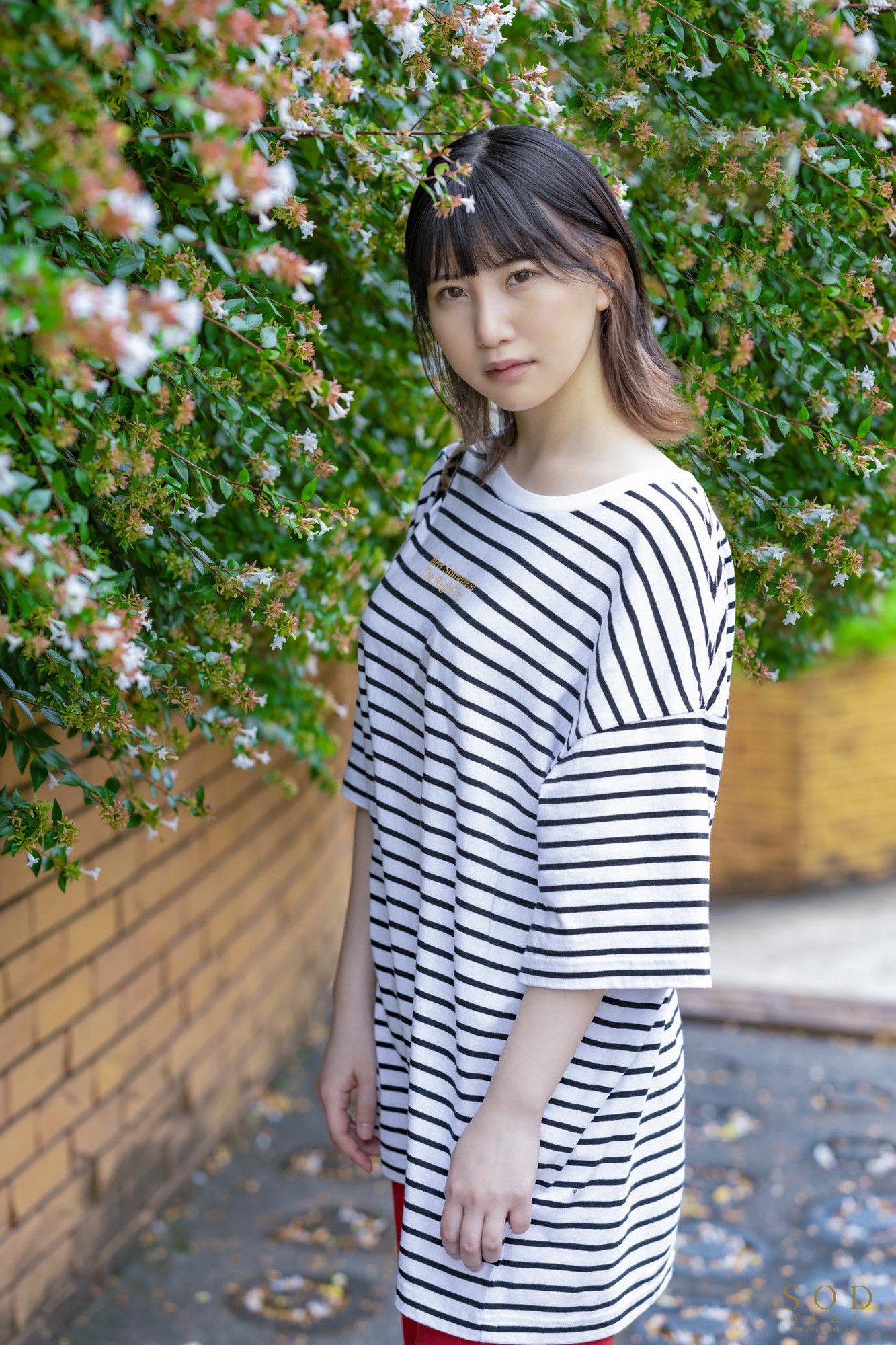 アイドルだった彼女のH見たくないですか? 川村ゆい SODstar DEBUT 画像2
