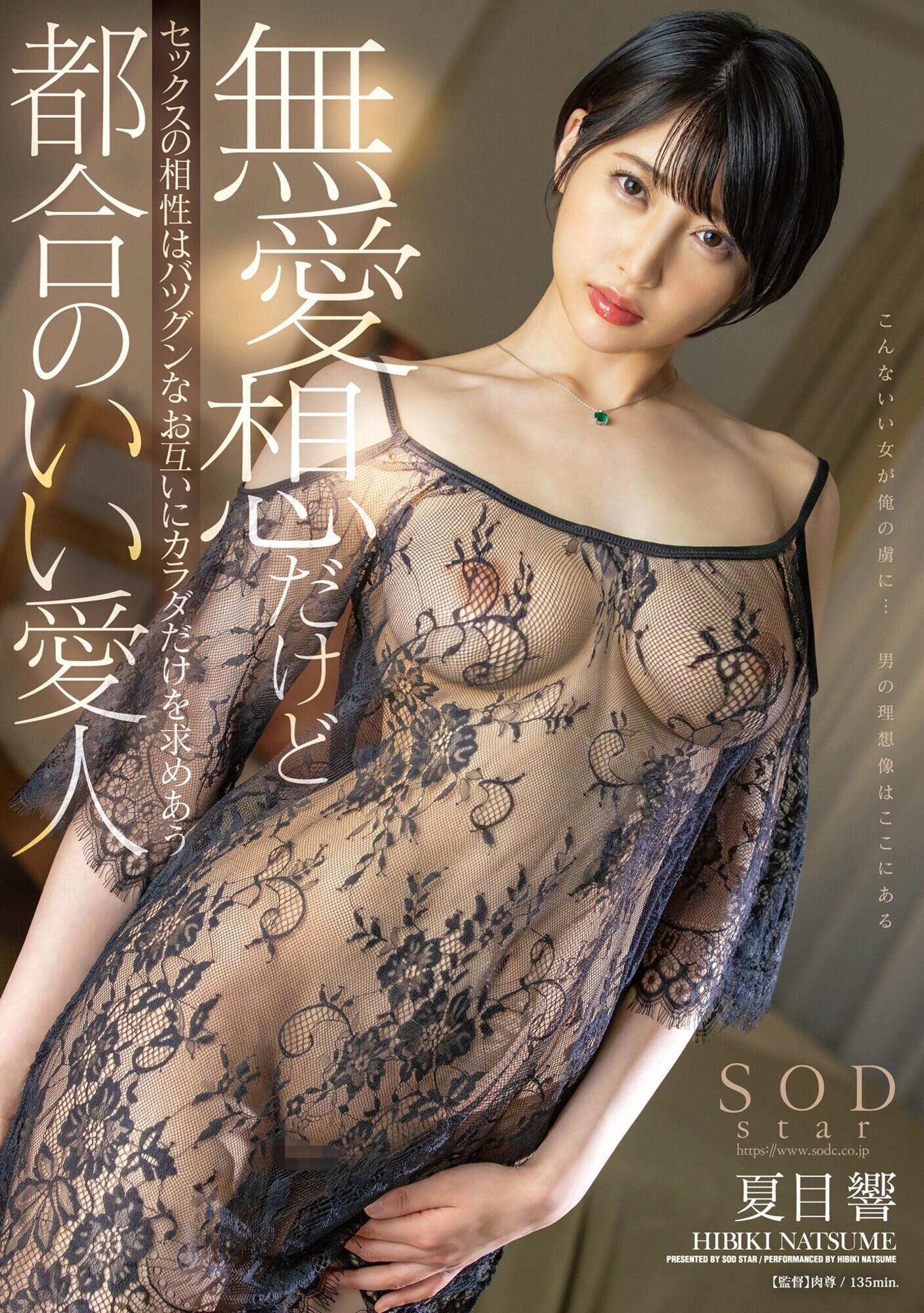 無愛想だけどセックスの相性はバツグンなお互いにカラダだけを求めあう都合のいい愛人 夏目響 画像1
