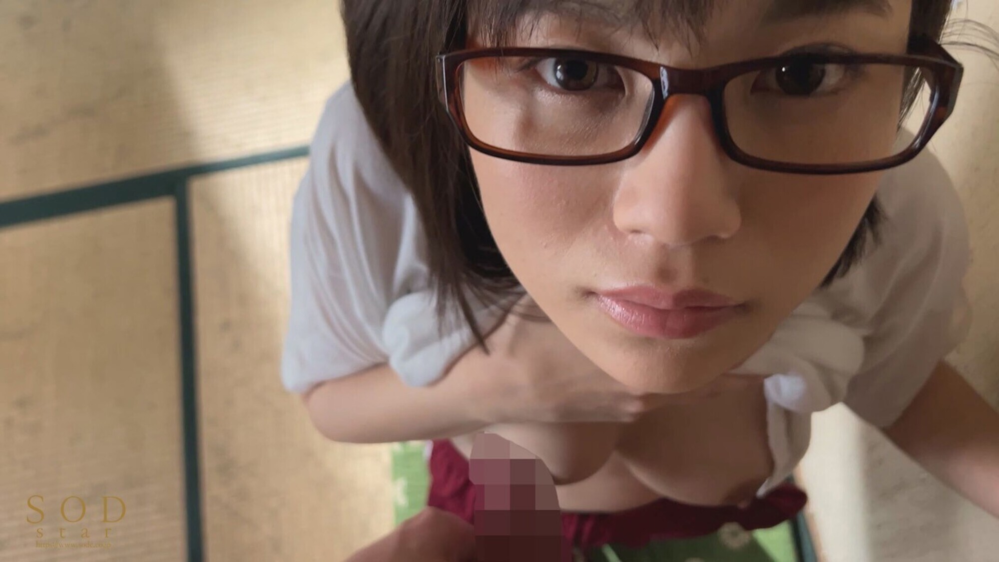 数年ぶりに帰省すると、アラサーの姉は未だに自称家事手伝い(ニート)の喪女だった。 隠れ巨乳の姉(26) 天宮花南 画像12