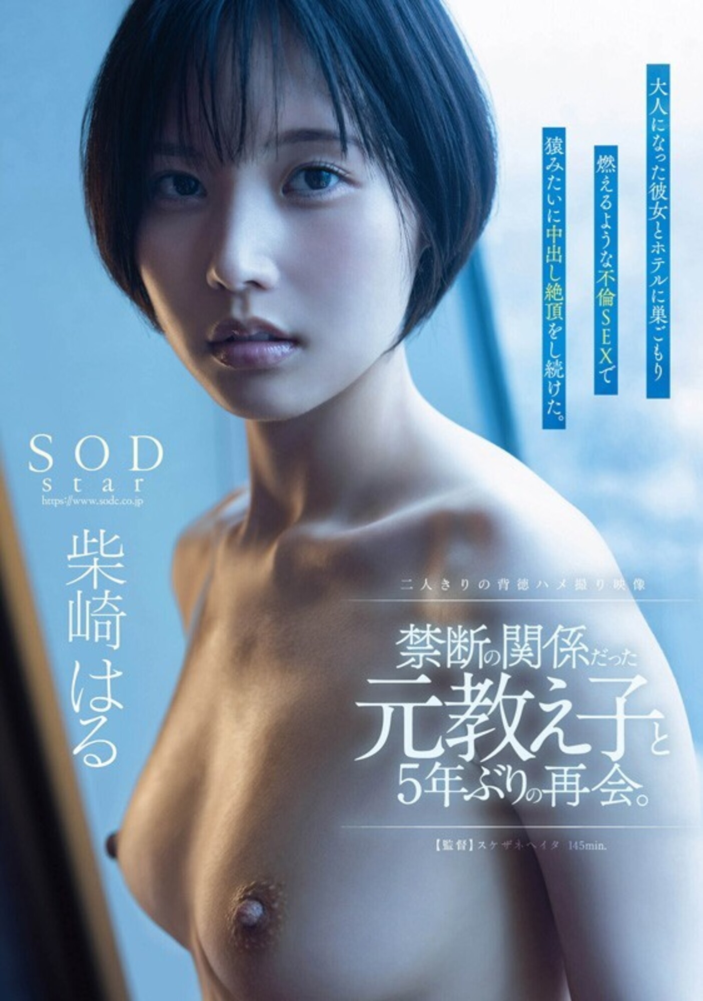 柴崎はる 初総集編！SOD女子社員からAVDEBUTを遂げた2年間の22タイトル22SEX豪華10時間スペシャル 画像17